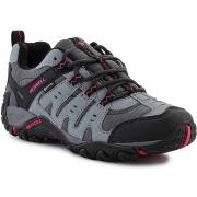 Kengät Merrell  Accentor Sport Gtx Graniitti/Ruusunpunainen J98408  39