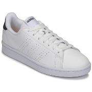 Kengät adidas  ADVANTAGE  36