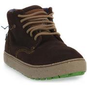 Tennarit Satorisan  WANAKA BROWN  42