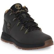 Kengät Timberland  SPRINT TREKKER MID CASTELROCK  41