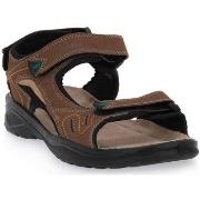 Sandaalit Grisport  NUBUCK BROWN  43