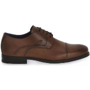 Tennarit Fluchos  HABANA CAMEL  43