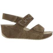 Sandaalit Scholl  ABERDEEN WEDGE  37