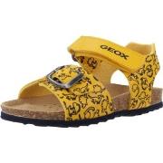 Poikien sandaalit Geox  B SANDAL CHALKI BOY  20