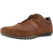 Tennarit Geox  U WELLS B- SUEDE  40