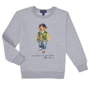 Svetari Polo Ralph Lauren  LSCNM4-KNIT SHIRTS-SWEATSHIRT  EU S