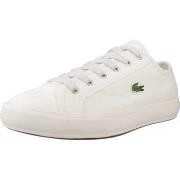 Tennarit Lacoste  BACKCOURT TEXTILE  43