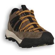 Kengät Scarpa  004 ROVE GTX GRAY  43