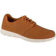 Kengät Timberland  Graydon Oxford Low  41