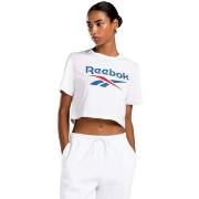 Paitapusero / Kauluspaita Reebok Sport  -  EU L