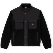 Paksu takki Dickies  Pinesdale Jacket - Black  EU L