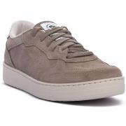 Tennarit Natural World  GRIS  42