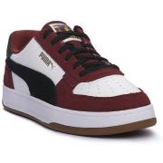 Tennarit Puma  01 CAVEN 2  41