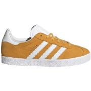 Tennarit adidas  Gazelle J IF9803  36