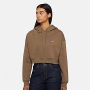 Svetari Dickies  OAKPORT CROPPED HOODIE  EU S