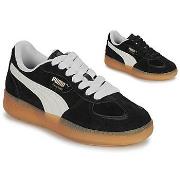 Kengät Puma  Palermo Moda Xtra Gum Wns  36