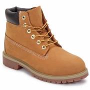 Lastenkengät Timberland  6 IN PREMIUM WP BOOT  30