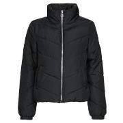 Toppatakki JDY  JDYFINNO SHORT PADDED JACKET OTW HAB  EU M