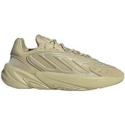 Tennarit adidas  Ozelia  37 1/3