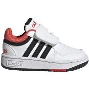 Tennarit adidas  Hoops  20