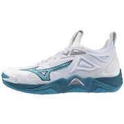 Kengät Mizuno  Wave Momentum 3  46