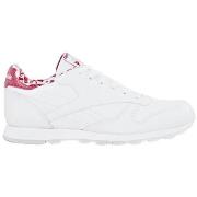 Tennarit Reebok Sport  Classic  36