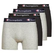 Bokserit Champion  BOXER X4  EU XXL