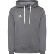 Svetari adidas  HB0578  EU M