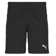 Shortsit & Bermuda-shortsit Puma  TEAMRISE MATCHDAY  US L