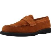 Kengät Sebago  RYAN SUEDE POLARIS  40