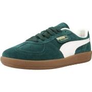 Tennarit Puma  PALERMO  36