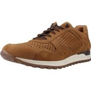 Tennarit Kangaroos  K846  40