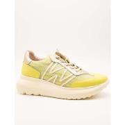 Tennarit Wonders  A-4001  36