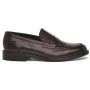 Kengät Exton  CASTAGNO VITELLO  43