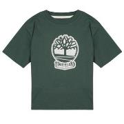 Lyhythihainen t-paita Timberland  T60422  6 vuotta