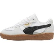 Kengät Puma  249937  36