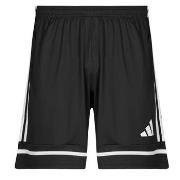 Shortsit & Bermuda-shortsit adidas  JN5469  EU XXL