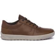 Tennarit Ecco  BYWAY CAMEL  44