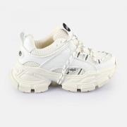 Tennarit Buffalo  Saturn lace  37
