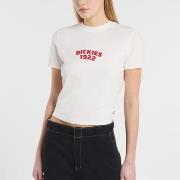 T-paidat & Poolot Dickies  DK0A4Z8FC481 CENTER LOGO  EU S