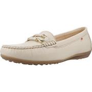 Kengät Fluchos  F2156  37