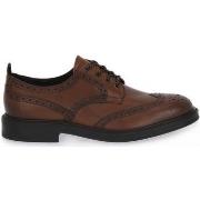 Kengät Marco Ferretti  TOP HARLEM  41