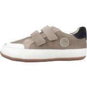 Tennarit Gioseppo  RIPTON  28