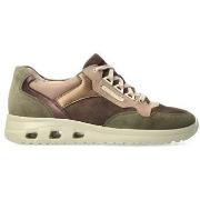Tennarit Mephisto  Lorane  37