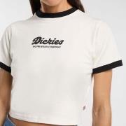 T-paidat & Poolot Dickies  DK0A4Z8IC481 LEWISTOWN RINGER  EU S