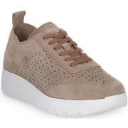 Tennarit Grunland  BEIGE K9TANI  37