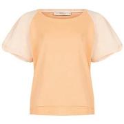 Svetari Rinascimento  CFC0119470003  IT S