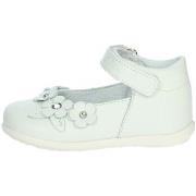 Balleriinat Balducci  CITA6920  23