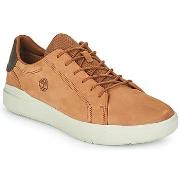 Kengät Timberland  Seneca Bay Oxford  41