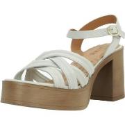 Sandaalit MTNG  50566M  40